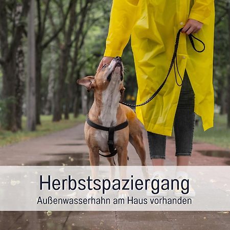 Ferienloft Sternenblick - Strandnah, Haustierfreundlich, Tolle Kueche, Optimal Fuer Workation, 4 Personen Steinberg  Kültér fotó