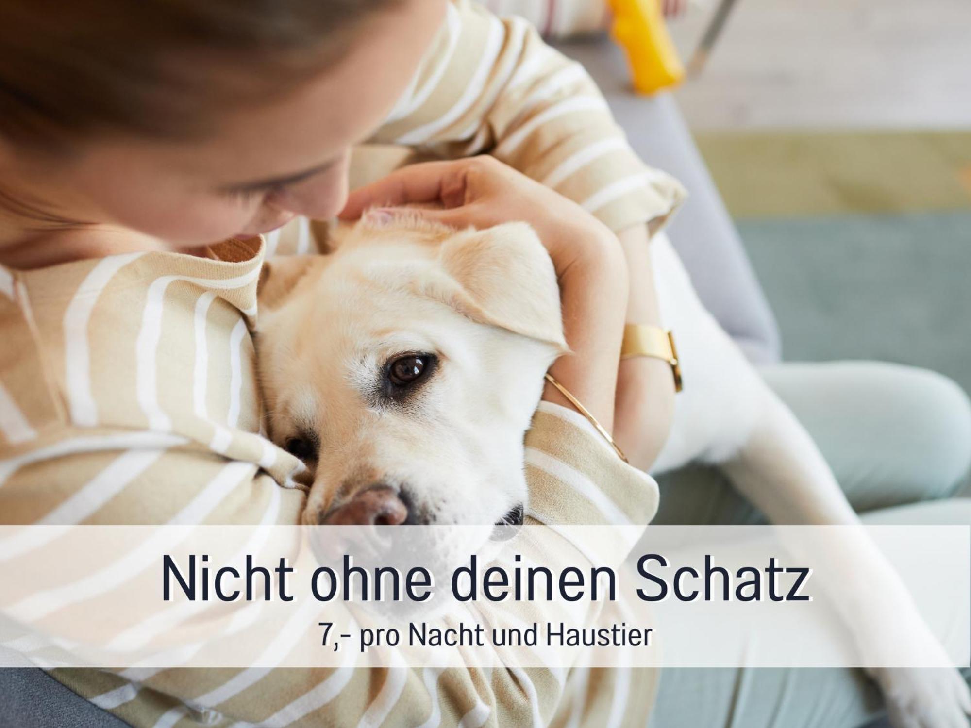Ferienloft Sternenblick - Strandnah, Haustierfreundlich, Tolle Kueche, Optimal Fuer Workation, 4 Personen Steinberg  Kültér fotó