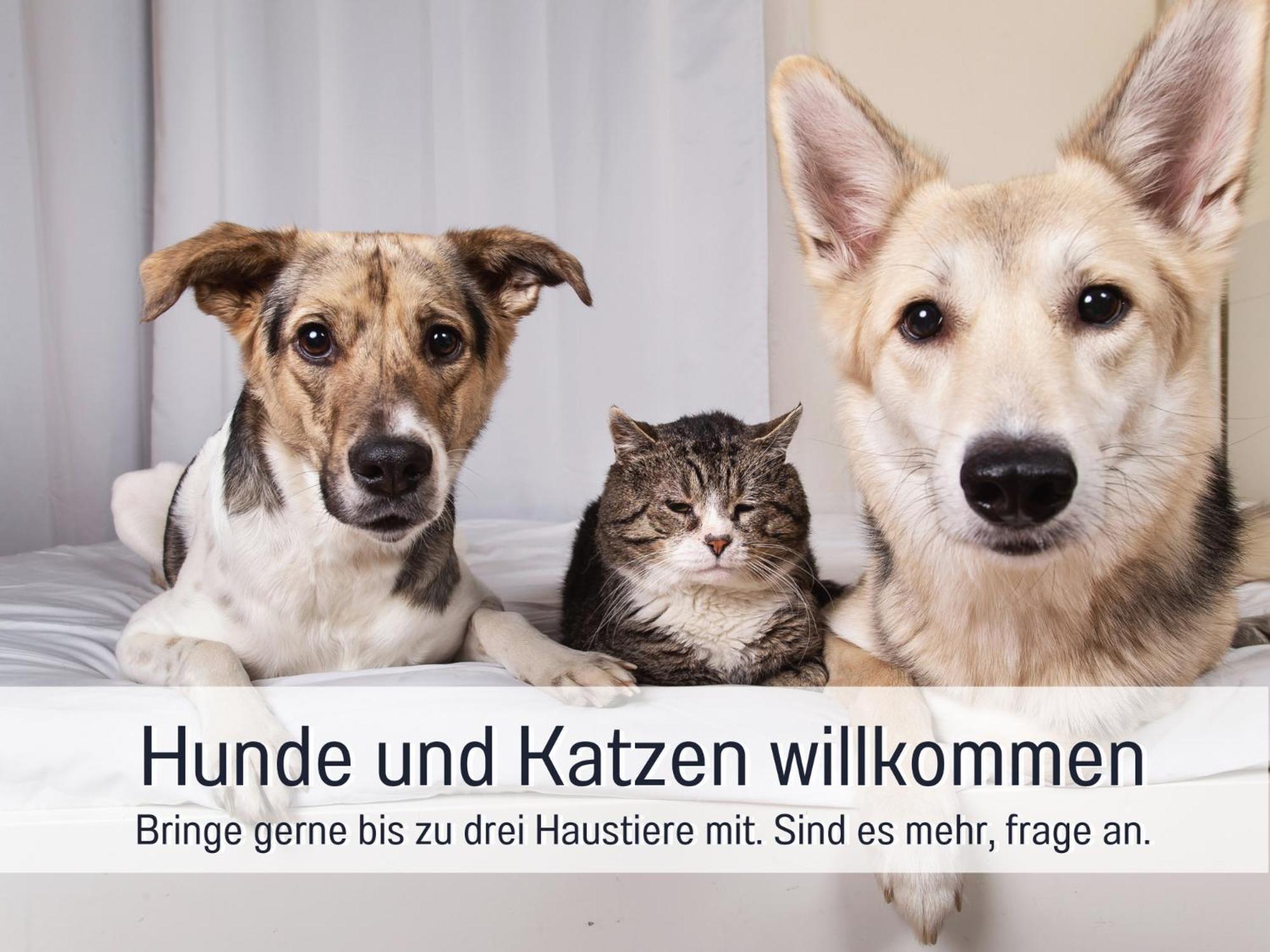 Ferienloft Sternenblick - Strandnah, Haustierfreundlich, Tolle Kueche, Optimal Fuer Workation, 4 Personen Steinberg  Kültér fotó