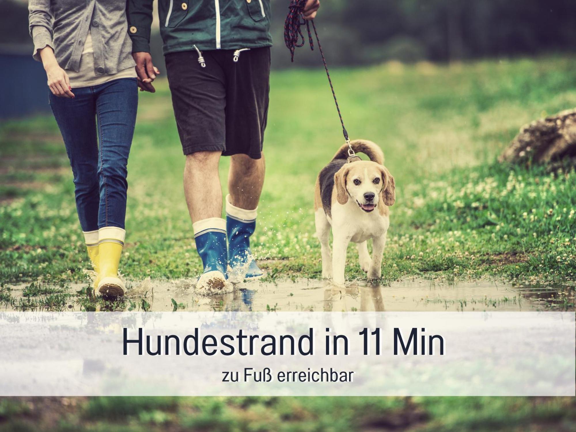 Ferienloft Sternenblick - Strandnah, Haustierfreundlich, Tolle Kueche, Optimal Fuer Workation, 4 Personen Steinberg  Kültér fotó