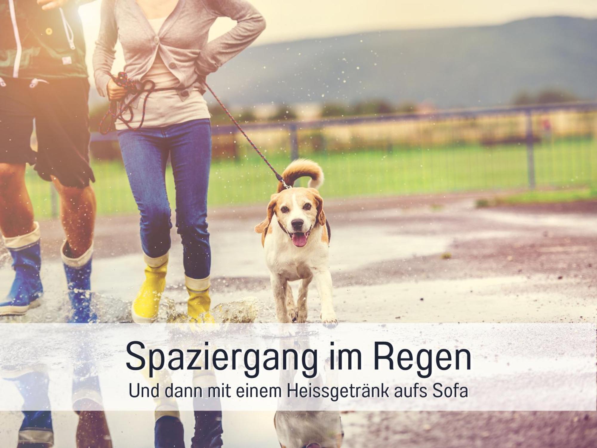 Ferienloft Sternenblick - Strandnah, Haustierfreundlich, Tolle Kueche, Optimal Fuer Workation, 4 Personen Steinberg  Kültér fotó