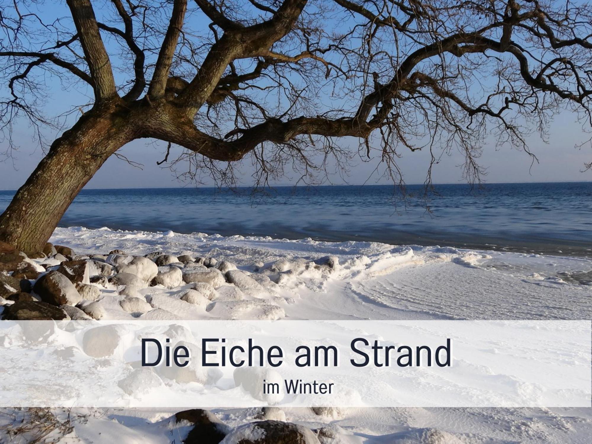 Ferienloft Sternenblick - Strandnah, Haustierfreundlich, Tolle Kueche, Optimal Fuer Workation, 4 Personen Steinberg  Kültér fotó