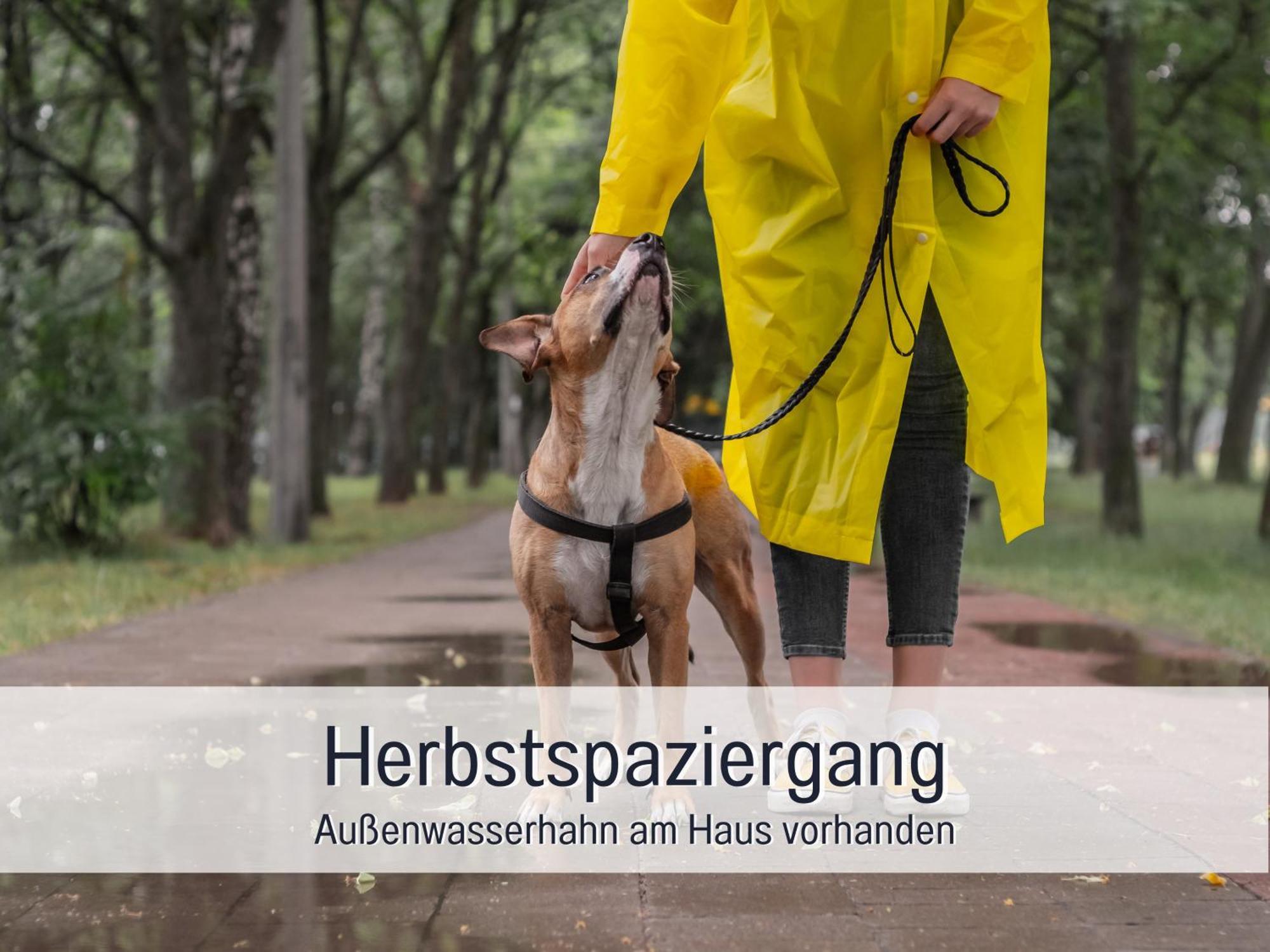 Ferienloft Sternenblick - Strandnah, Haustierfreundlich, Tolle Kueche, Optimal Fuer Workation, 4 Personen Steinberg  Kültér fotó