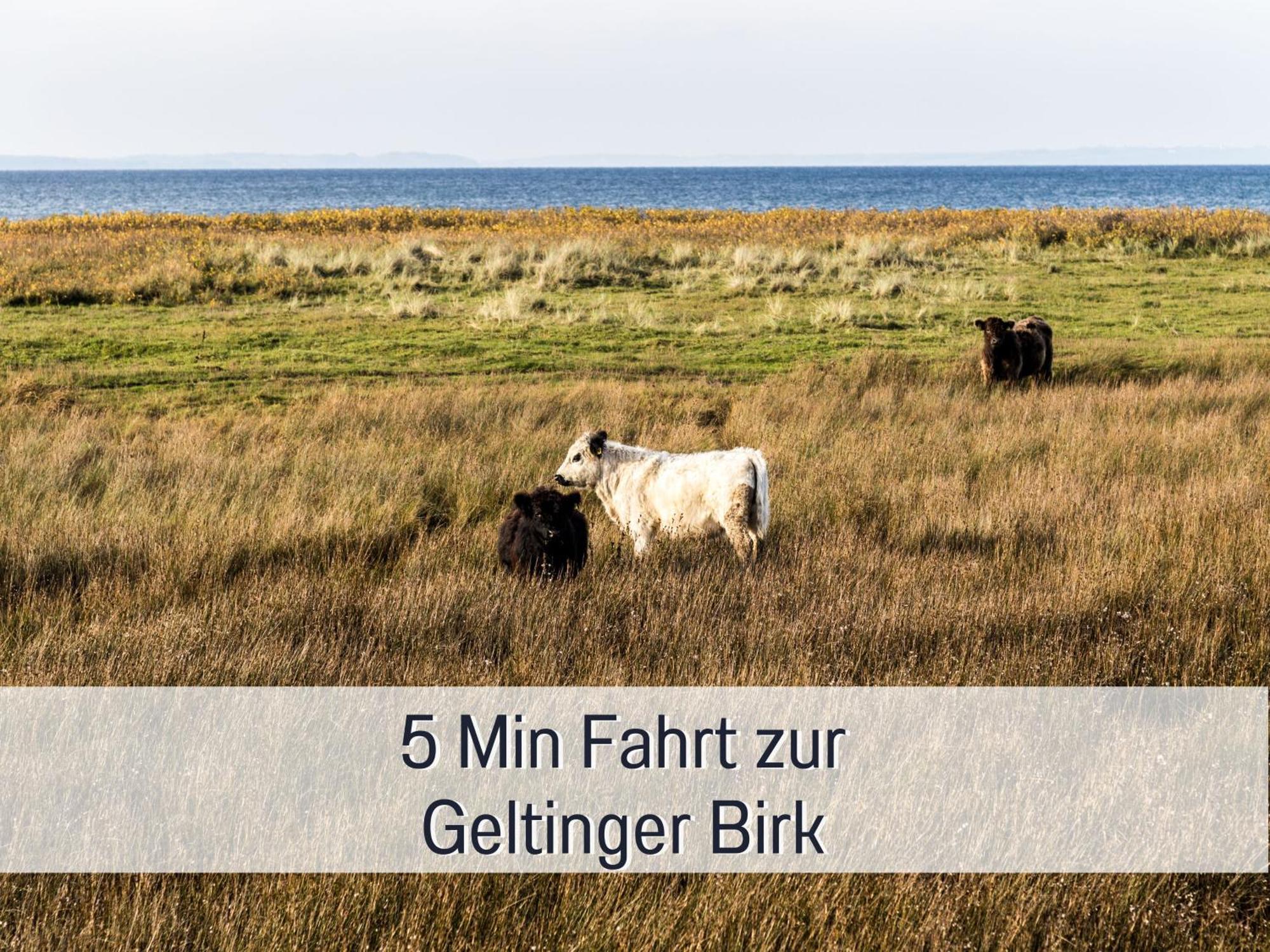 Ferienloft Sternenblick - Strandnah, Haustierfreundlich, Tolle Kueche, Optimal Fuer Workation, 4 Personen Steinberg  Kültér fotó